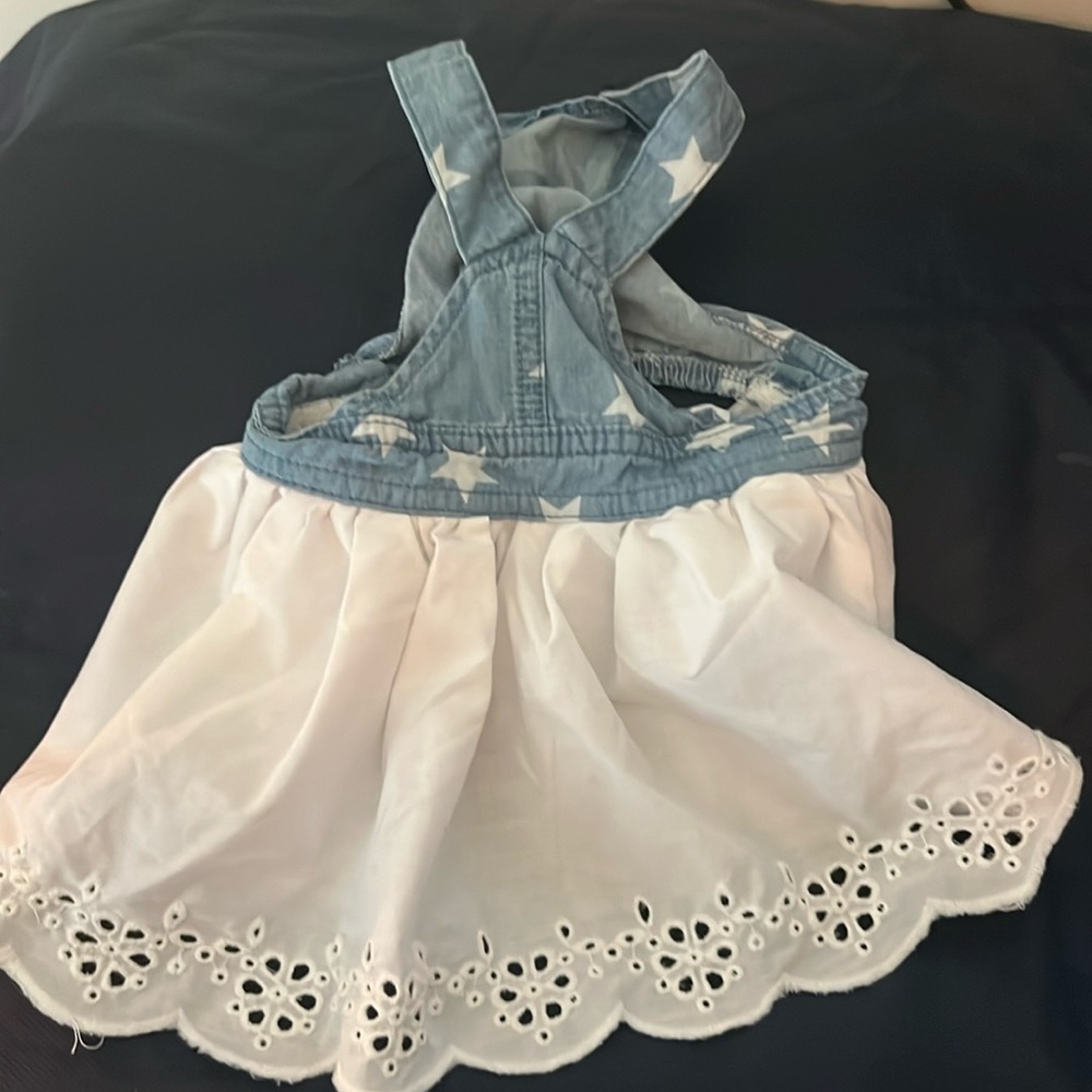 Dog Dress